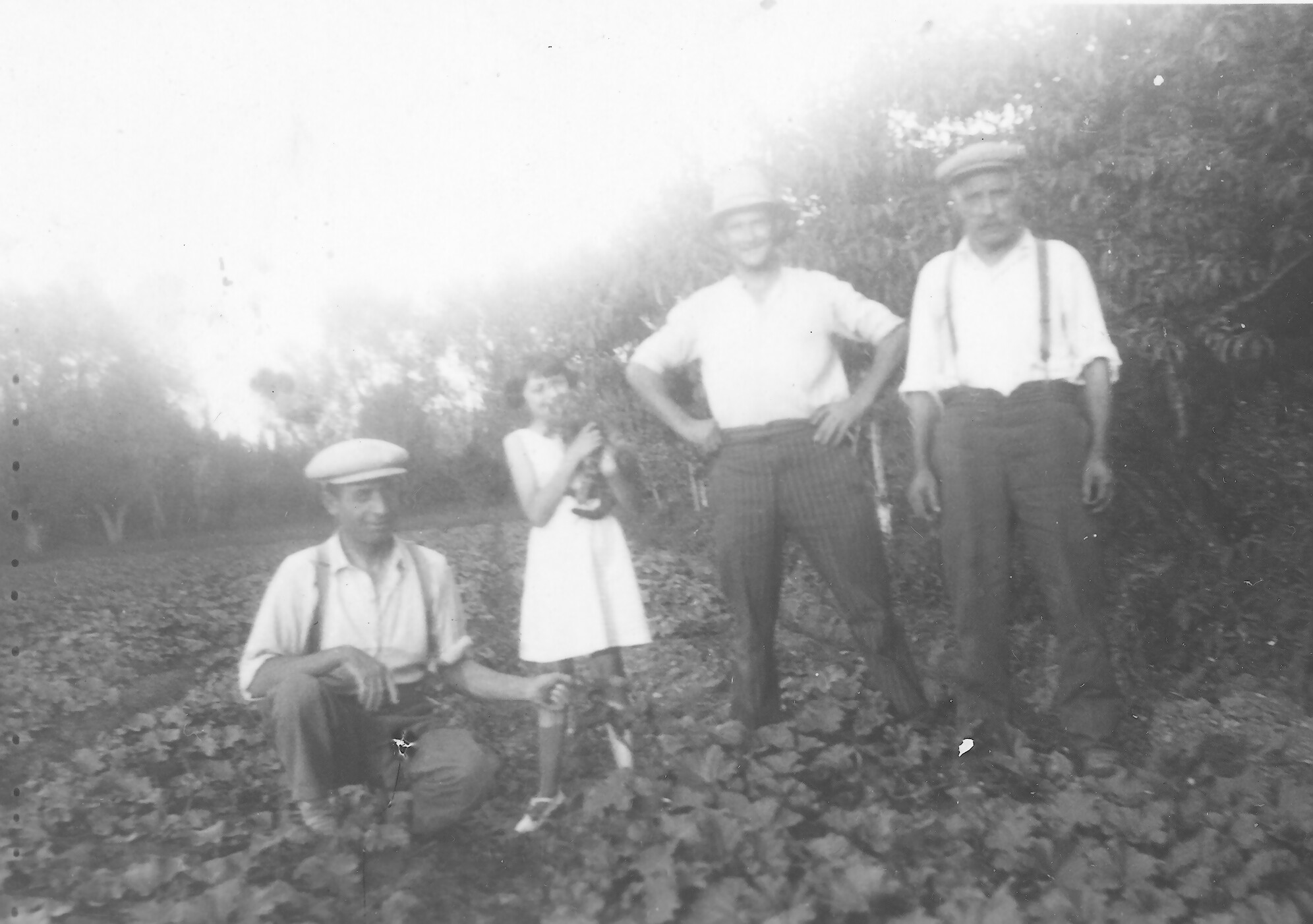 Ancêtres Mas Courbet